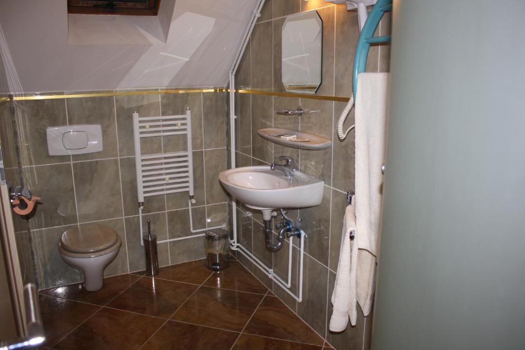 Pensiunea Zodiac Timisoara Habitación foto
